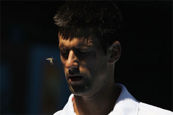 Восьмой день Australian Open-2010 в картинках