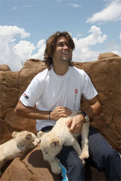 ferrer_lions_3.jpg