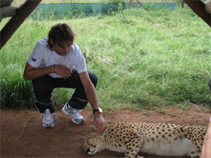 ferrer_lions_4.jpg