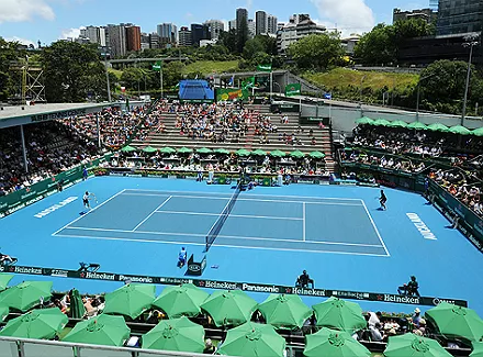 auckland_11